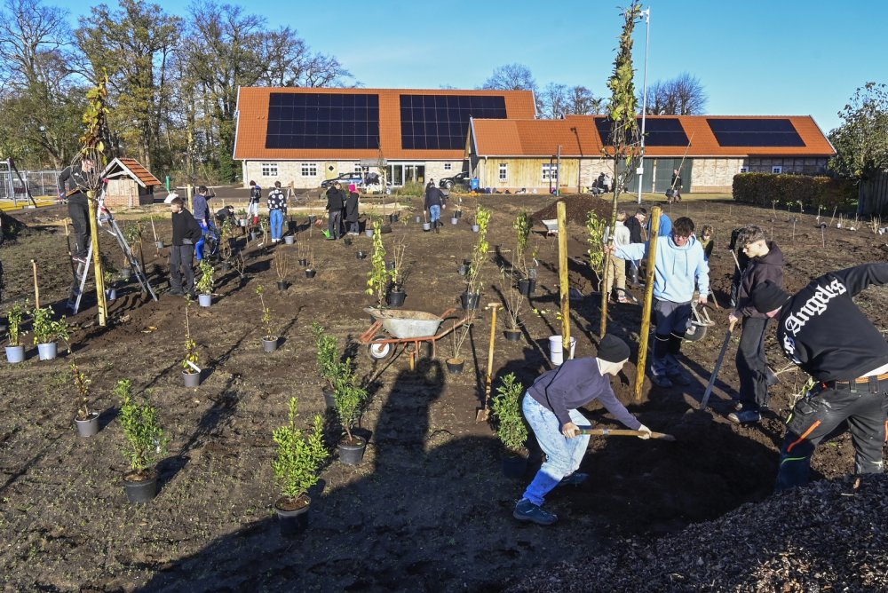 GKS-Schler legen im Brgerpark ihren Schulgarten an