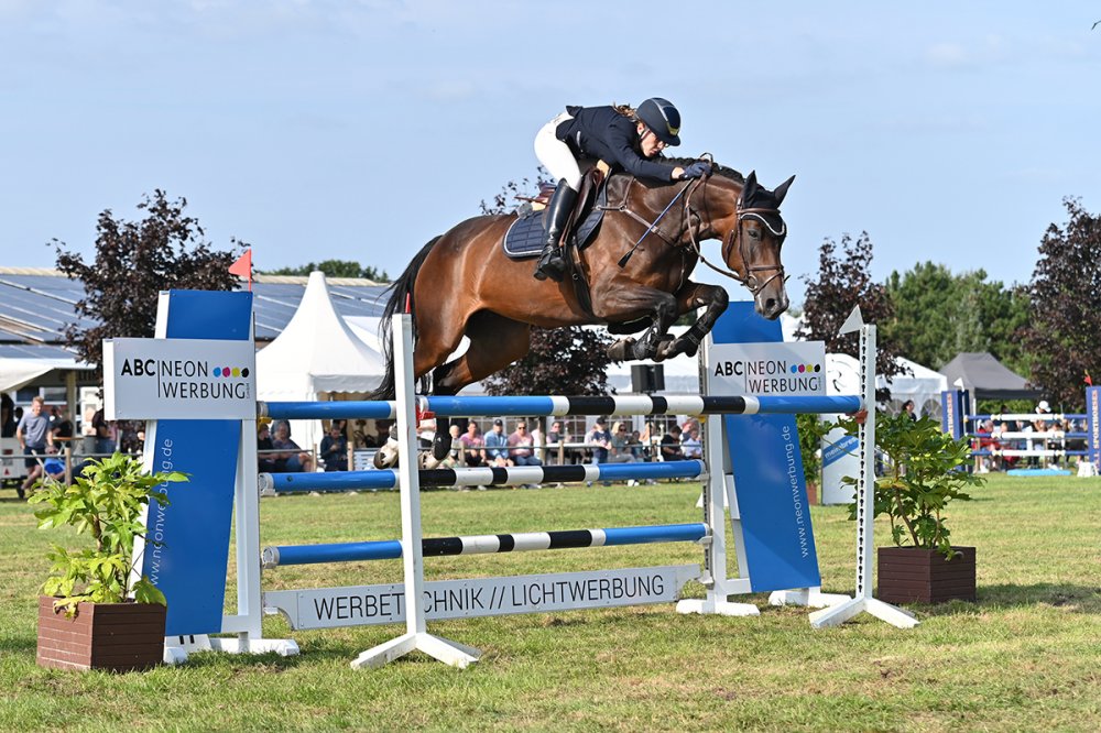 Freunde des Pferdesports kommen am Wochenende auf ihre Kosten