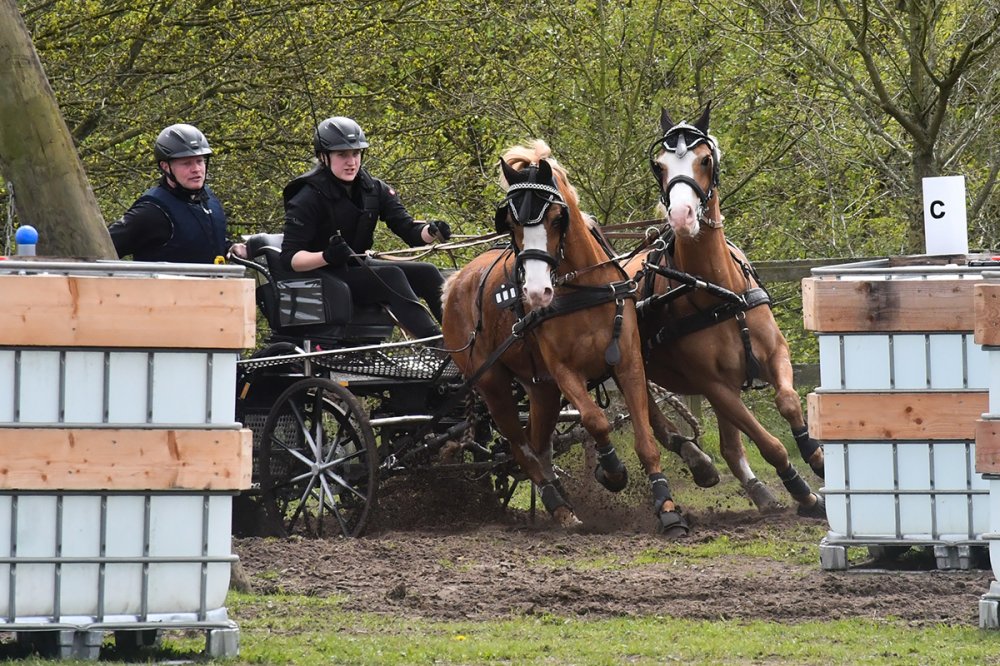 Am 1. Mai-Wochenende RuF-Fahrturnier mit Kreismeisterschaft in Holdorf
